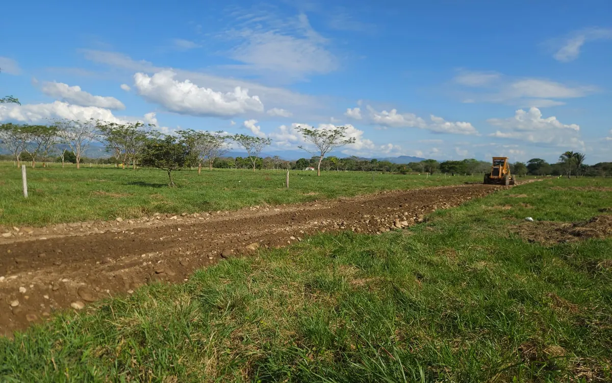 Motoniveladora abriendo una vía interna del proyecto